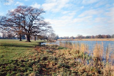 Pohled na jezero, Corsham Court, Wiltshire od Unbekannt Unbekannt