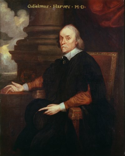 William Harvey (1578-1657) královský lékař, 17. století od Unbekannt Unbekannt