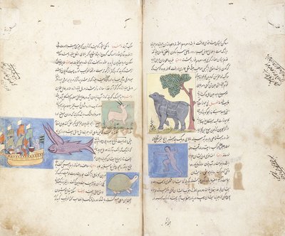 Stránka z perského rukopisu "Aja"ib al-Makhluqat wa Ghara"ib al-Maujudat od Unbekannt