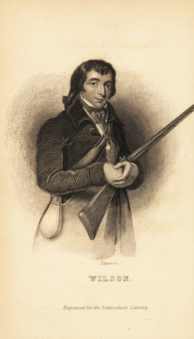 Alexander Wilson , skotský americký ornitolog, přírodovědec a básník od Unbekannt