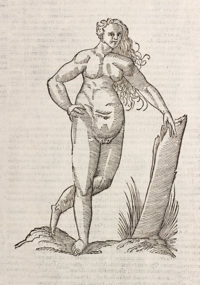 Androgynos od Unbekannt