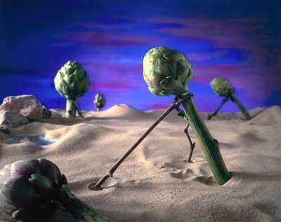 Art-ichoke (Dali) 1996 (foto) od Unbekannter Künstler