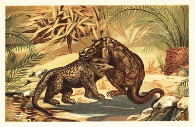 Bitva mezi Megalosaurus bucklandii a Iguanodon bernissar1908 (litografie) od Unbekannter Künstler