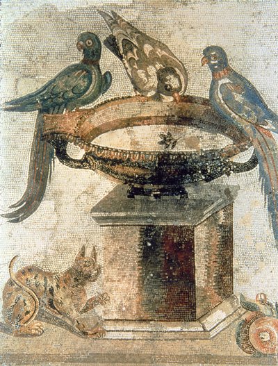 Ptáci a přepadená kočka z Pompejí od Unbekannter Künstler