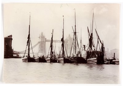 Lodě kotvící u Tower Bridge od Unbekannt
