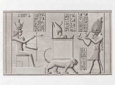 Kniha: Popis Egypta od Unbekannt