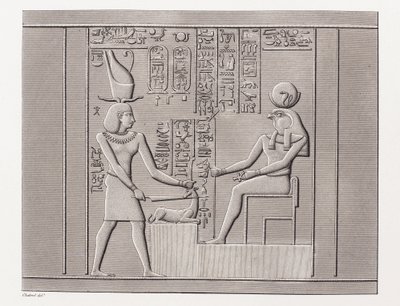 Kniha: Popis Egypta od Unbekannt