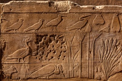 Botanická zahrada Thutmosis III s reliéfními vyobrazeními rostlin a zvířat, chrám Karnak, Luxor, Théby, Egypt, Afrika (foto) od Unbekannter Künstler