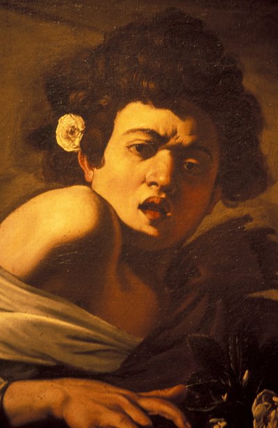 Chlapec pokousaný ještěrkou (detail), umělecké dílo Caravaggio, Palazzo Ducale, Janov, Ligurie, Itálie od Unbekannt