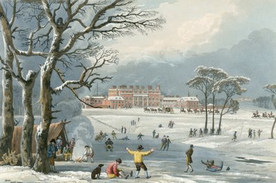 Buckinghamský palác od Unbekannter Künstler