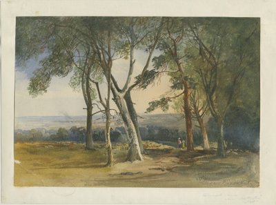 Cannock Chase: malba vodovými barvami, 1848 od Unbekannt