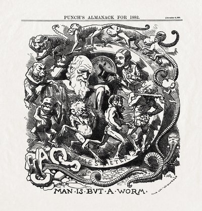 Karikatura k teorii evoluce od Charlese Darwina (1809-1882): "Člověk je jen červ" (Man is but a worm) z časopisu "Punch" 06/12/1881 od Unbekannter Künstler