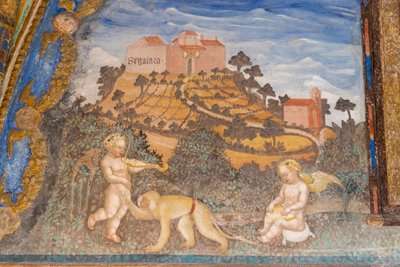 Hrad Torrechiara, Camera d