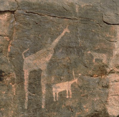 Detail prehistorických maleb, poušť Tenere, Niger od Benjamin Baud