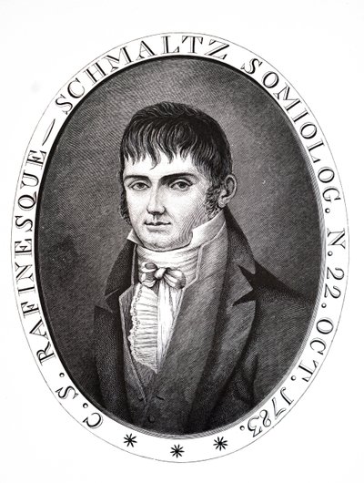 Konstantina Samuela Feldera. od Unbekannt