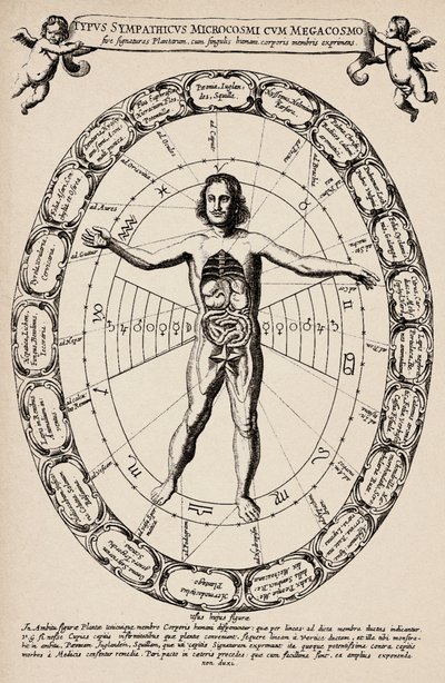 Korespondence mezi mikrokosmem a makrokosmem. Deska převzata z knihy "Mundus subterraneus" od Athanase Kirchera (1601-1680). od Unbekannter Künstler