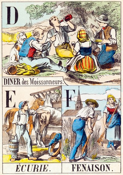 D E F: Diner des Moissonneurs, Ecurie, Fenaison - "Abeceda farmy" konec 19. století (rytina) od Unbekannt
