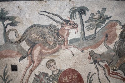 Detail mozaiky velkého lovu. Leopard útočící na gazelu. 3. - 4. století. Římská vila Casale, Sicílie. památka UNESCO. od William M. Timlin