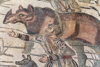 Detail mozaiky velkého lovu. Nosorožec je naváděn na loď, která má být přepravena do nejbližšího přístavu. 3. - 4. století. Římská vila Casale, Sicílie. památka UNESCO. od William M. Timlin
