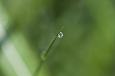 kapka (fotografie) od Unbekannter Künstler