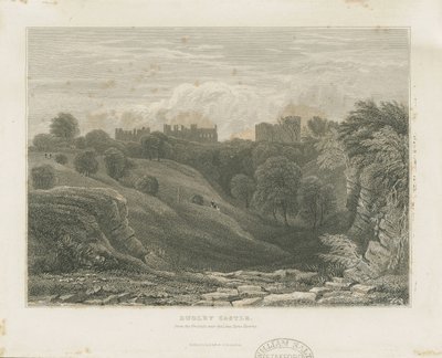 Dudley Castle: ocelorytina a [19. století] od Unbekannt