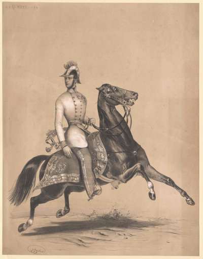 Rakouský císař František Josef I. od Unbekannter Künstler