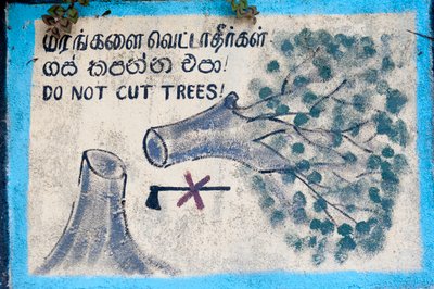 Ochrana životního prostředí; malovaný znak; „““ Nekácet stromy“““““ zobrazující pokácený strom a přeškrtnutou sekeru; Nuwara Eliya; Srí Lanka; Asie od Unbekannt