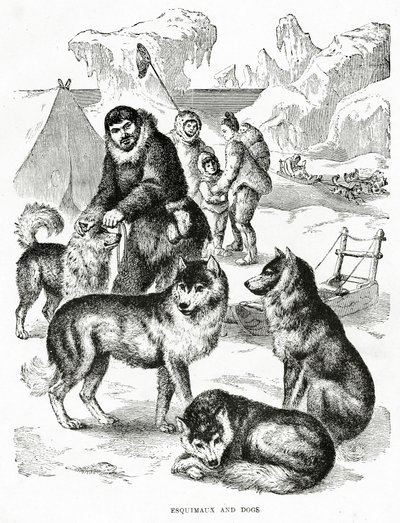 Esquimaux a psi. 1902 (litho) od Unbekannt
