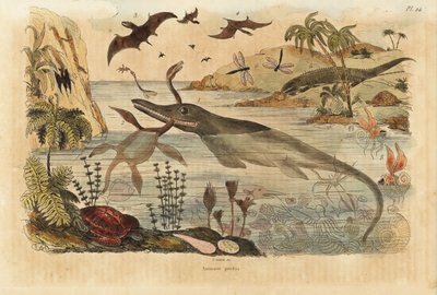 Vyhynulí dinosauři, ichtyosauři, plesiosauři, mořská zvířata, pterodaktylové, ještěrky, želvy, hmyz, ryby, chobotnice, měkkýši atd. od Unbekannt