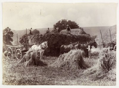 Zemědělské scény, sklizeň a skladování, sklizeň před rokem 1900, c 1890 od Unbekannt