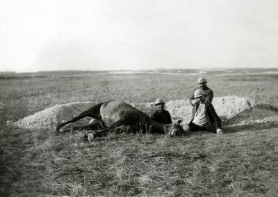 První světová válka 14-18 (1914-1918): tři francouzští vojáci pohřbívají mrtvého koně - fotografie na skleněné desce - od Unbekannter Künstler