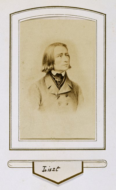 Franz Liszt v mládí od Unbekannter Künstler