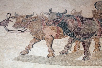 ICarios voli a vůz z panelu zobrazující okamžik těsně před tragédií smrti Icarios poté, co ho Dionysos naučil pěstovat víno - Pafosské mozaiky, Dům Dionýsů, 3. století našeho letopočtu - Kypr - Boeufové táhnoucí tank Icarios a „“ čt od William M. Timlin