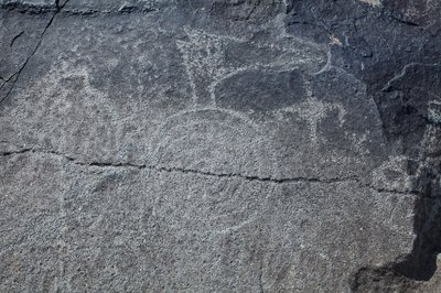Indiánské Petroglyfy - Zvířecí a symbolické znázornění - Petroglyfní národní památka - Albuquerque, Nové Mexiko, USA (USA) od William M. Timlin