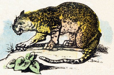 J - Jaguar - Alphabet - dětská zábava - Image epinal, populární série c.1890 (ilustrace) od Unbekannt