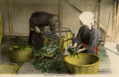 Japonští dělníci sekají listy moruše od Unbekannter Künstler