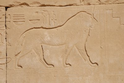 Řezba lva, Karnak, Luxor, Egypt (foto) od Unbekannt