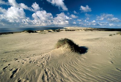 Litva, Klaipeda, Kurská kosa, Nida, pohyblivé písečné duny zvané Pruská Sahara od William M. Timlin