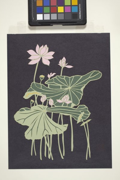 Lotus (vícebarevný řezaný papír) od Unbekannter Künstler