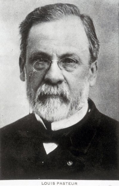 Louis Pasteur, francouzský chemik a mikrobiolog, kolem roku 1885 od Unbekannter Künstler