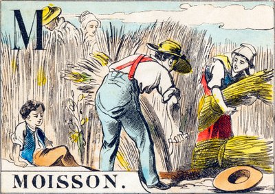 M Moisson - "Abeceda farmy" konec 19. století (rytina) od Unbekannt