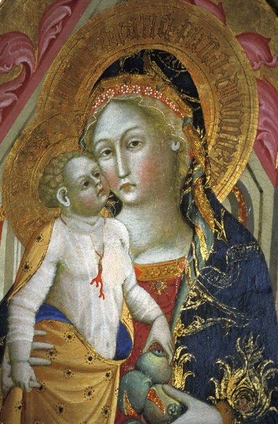 Madonna a dítě, Francesco di Gentile, XIV století, Piersanti museum, Matelica, Marche, Itálie od Unbekannt