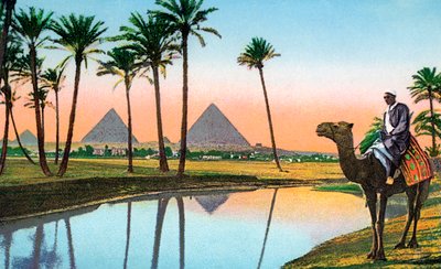 Muž na velbloudu při pohledu na pyramidy v Gíze, kolem roku 1900 (chromolit) od Unbekannter Künstler