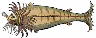 Mořský tvor, xylografie převzata z "Paralipomena accuratissima historiae omnium animalium quae in voluminibus Aldrovandi desiderantur/Bartholomaeus Ambrosinus... summo labore collegit; Marcus Antonius Berna bibliopola bononiensis propriis sumptibus i od Unbekannter Künstler