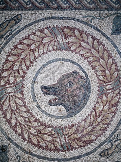 Mozaika peristylu. Detail představující medvědí hlavu. 3. - 4. století. Římská vila Casale, Sicílie. Místo UNESCO. od William M. Timlin