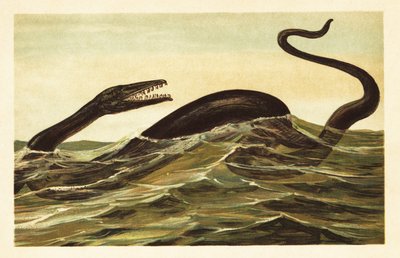 Mosasaurus hoffmannii, vyhynulý vodní plaz. 1908 (litografie) od Unbekannter Künstler