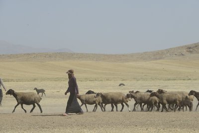 Nomádské stany mezi Tamar a Ashkhaneh, Írán 2022 (fotografie) od Unbekannter Künstler