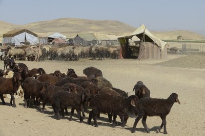 Nomádské stany mezi Tamar a Ashkhaneh, Írán 2022 (fotografie) od Unbekannter Künstler