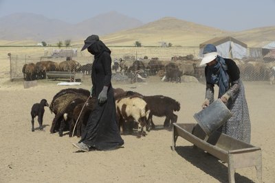 Nomádské stany mezi Tamar a Ashkhaneh, Írán 2022 (fotografie) od Unbekannter Künstler