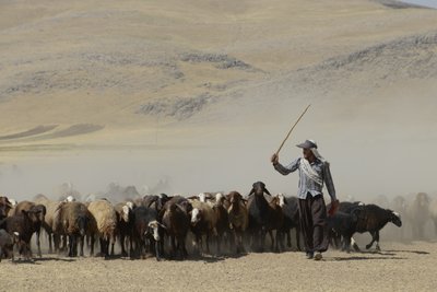Nomádské stany mezi Tamar a Ashkhaneh, Írán 2022 (fotografie) od Unbekannter Künstler